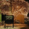 Holiday Lights at 2626 Preview Image