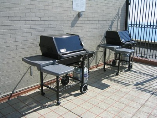 BBQ Gas Grills